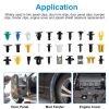 500Packs Bumper Fastener Rivets 30 Kinds Bumper Push Clips Fender Replacement