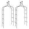 Garden Arches 2 pcs Black 47.2"x15"x102.4" Steel